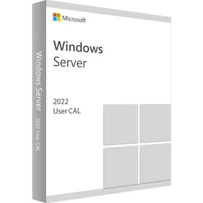 Microsoft Windows Server 2022 English 1 User CAL