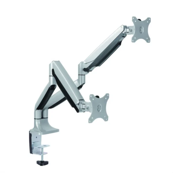 Roline VALUE Dual LCD Monitor Arm